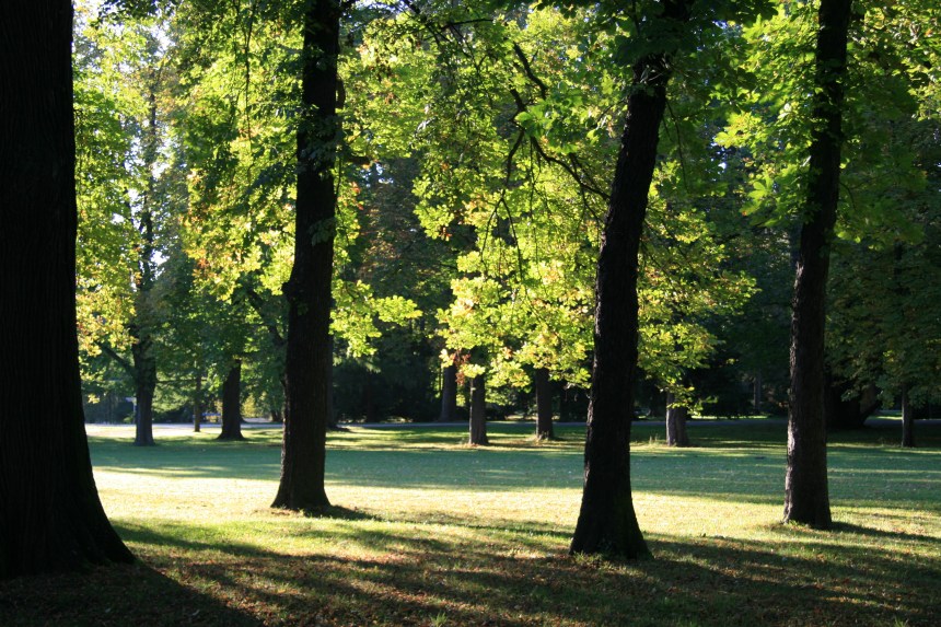 Schlosspark Pillnitz